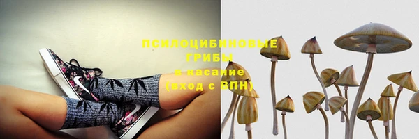 PSILOCYBIN Медногорск