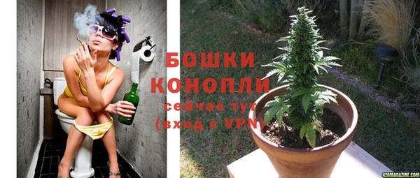 эйфоретик Медвежьегорск