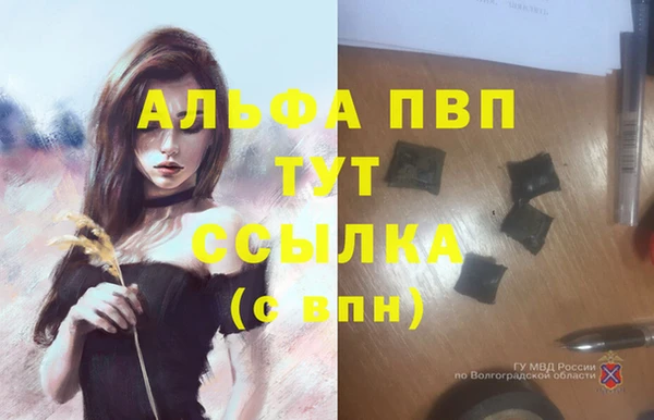эйфоретик Медвежьегорск