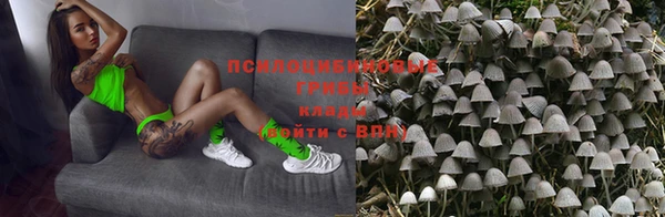 PSILOCYBIN Медногорск