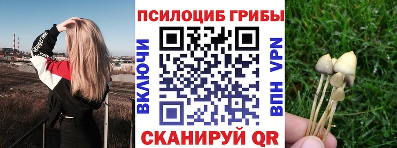 Псилоцибиновые грибы Magic Shrooms  Каменск-Уральский 