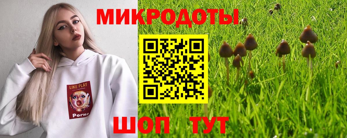 Галлюциногенные грибы Psilocybine cubensis  Каменск-Уральский 