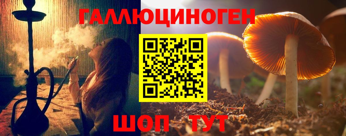 купить наркотик  Вход с VPN  Каменск-Уральский  Псилоцибиновые грибы мицелий 